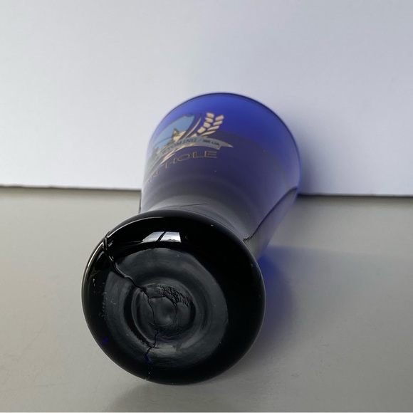 Jackson Hole Shot Glass Wyoming WY Cobalt Blue Shot Glass Teton Village Gondola - Picture 12 of 13